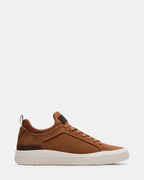 DACK COGNAC - COGNAC / 7