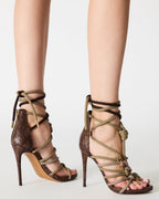 CATNYSS OLIVE