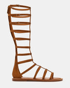 GLADIUS CHESTNUT - CHESTNUT / 5