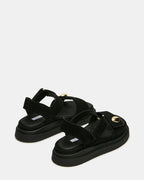 DAIM NOIR MATINE