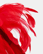 VERTUS ROUGE