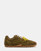 OLIVE MIDAS