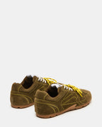 OLIVE MIDAS